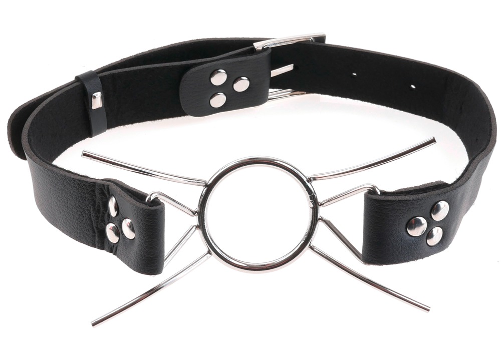Spider Gag Spider Gag