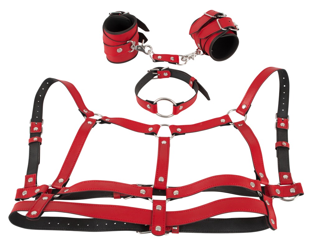 Harness Set Harness Set