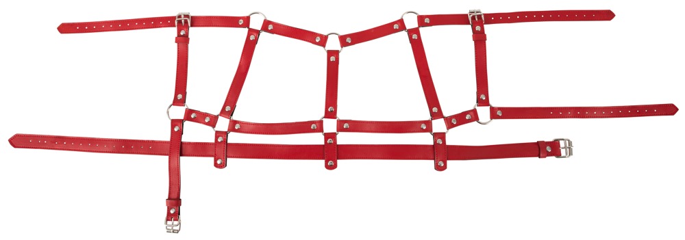 Harness Set Harness Set