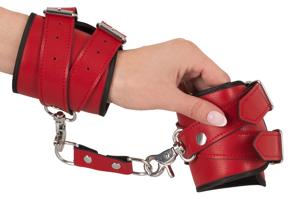 Harness Set Harness Set