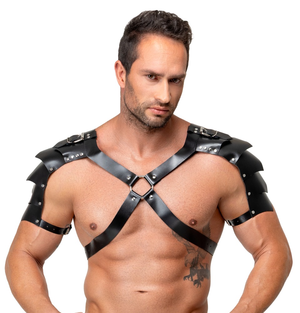 Harness aus Leder